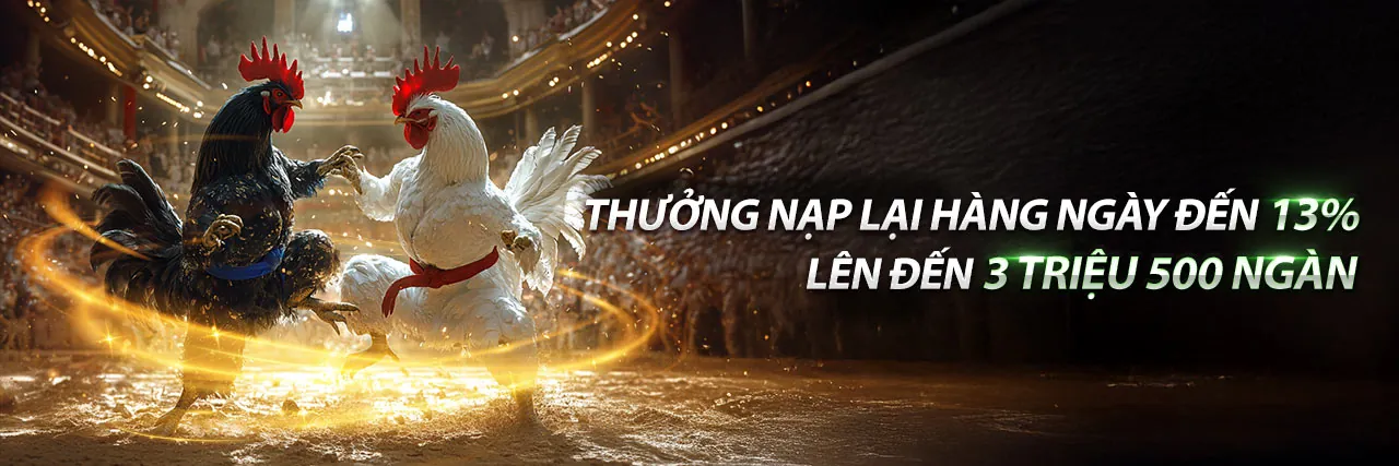 Sân đấu đá gà trực tuyến sôi động tại 89bet2
