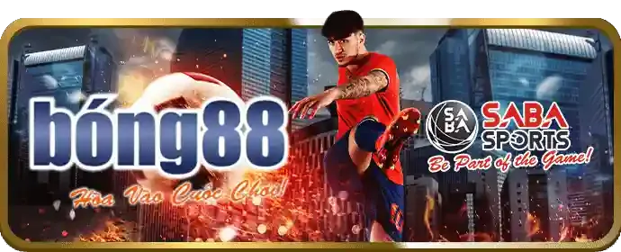 Biểu đồ phân tích tổng số bàn thắng, thể hiện kèo Tài Xỉu trong cá cược thể thao